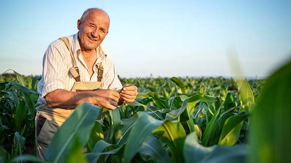 Farmer Img 16
