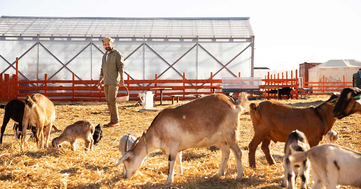 Farmers Blog 05 Farmers Blog 05