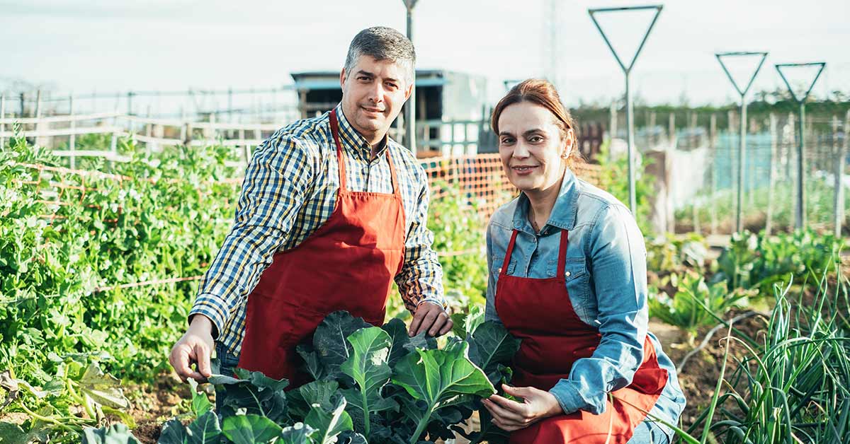 Farmers Blog 07