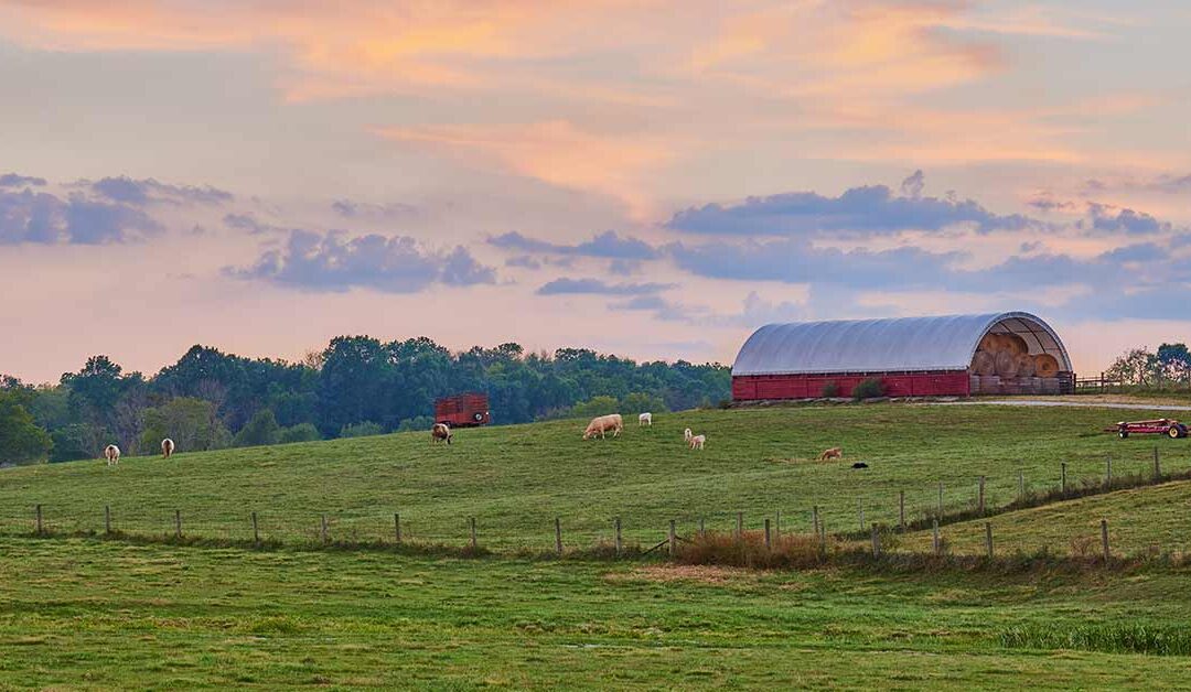 Red Barn Growers