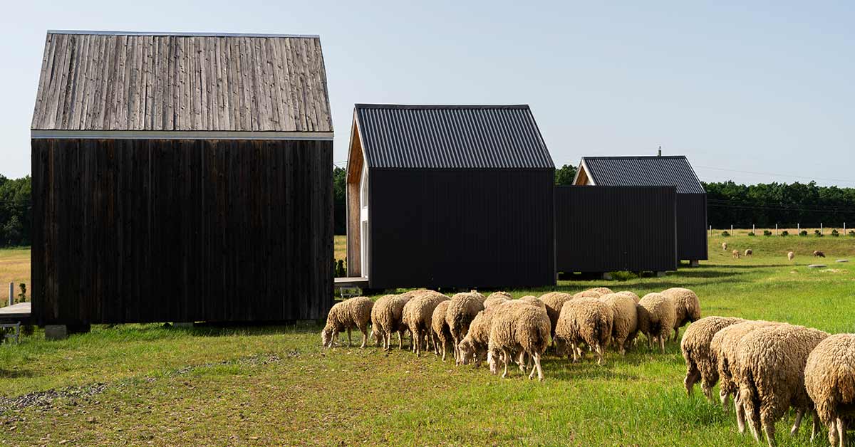 Farmers Blog 13
