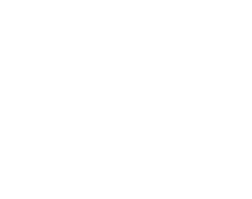 Logo White Website
